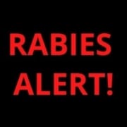 Rabies Alert