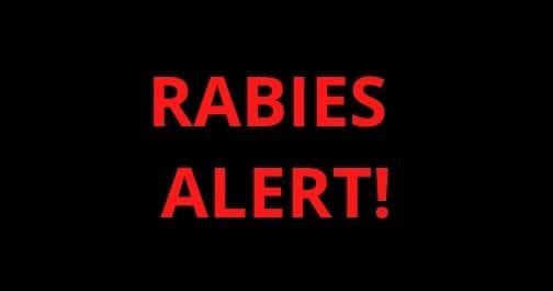 Rabies Alert